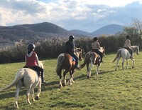 Bienvenue aux Chevaux des Bisettes !